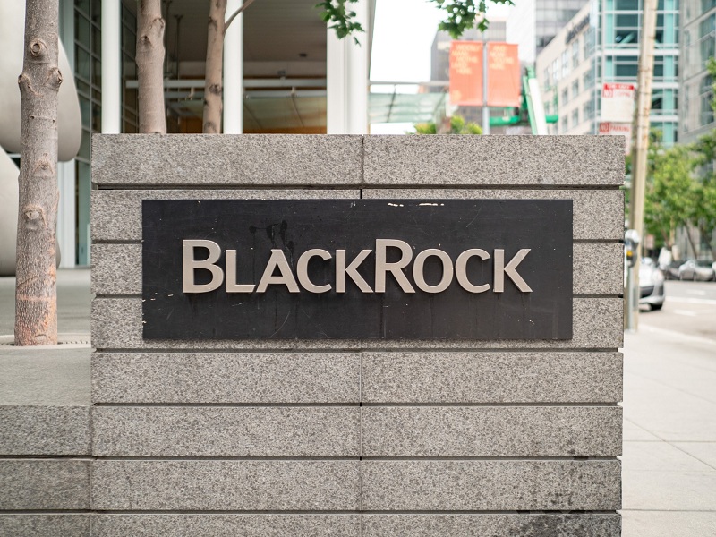 BlackRock beats earnings on strong fees, but falling markets trim AUM, revealing pressure beneath headline growth.