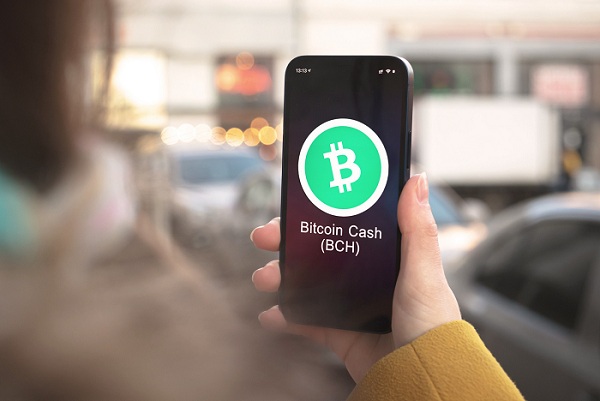 Bitcoin Cash price forecast as BCH price bounces back