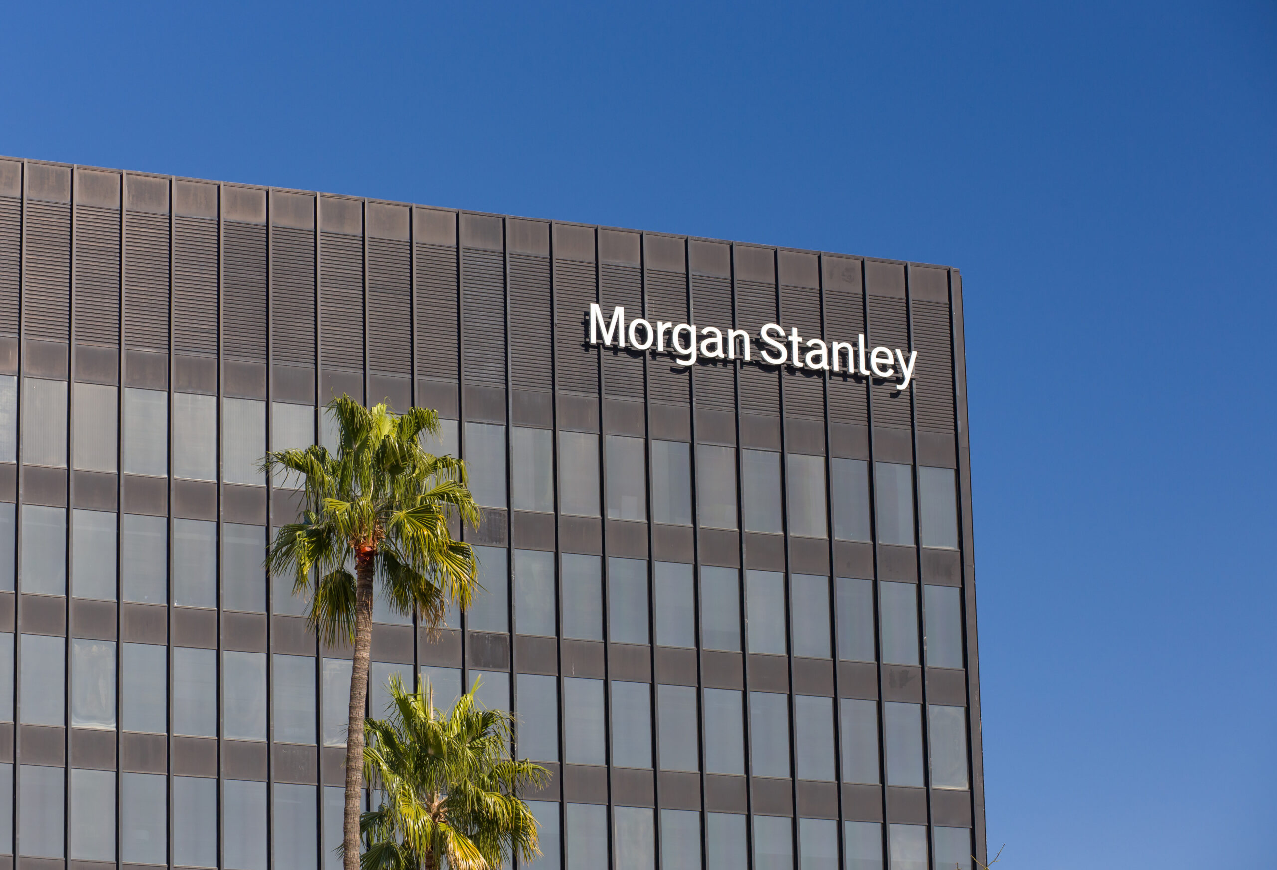 Morgan Stanley names Intuit and Equinix top 2026 picks, citing strong growth outlooks and selective market upside.