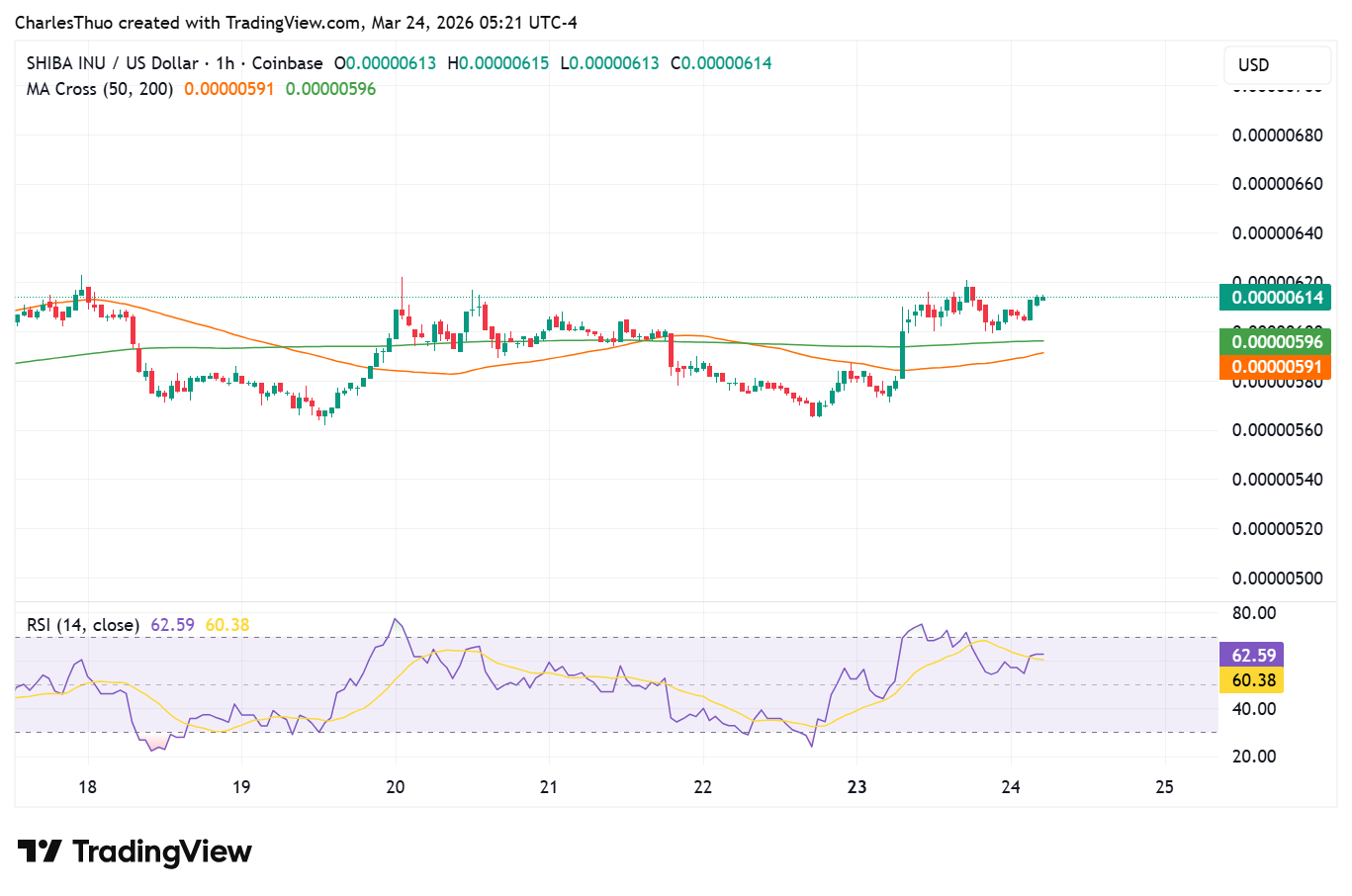 Shiba Inu 1‑Stunden-Chart