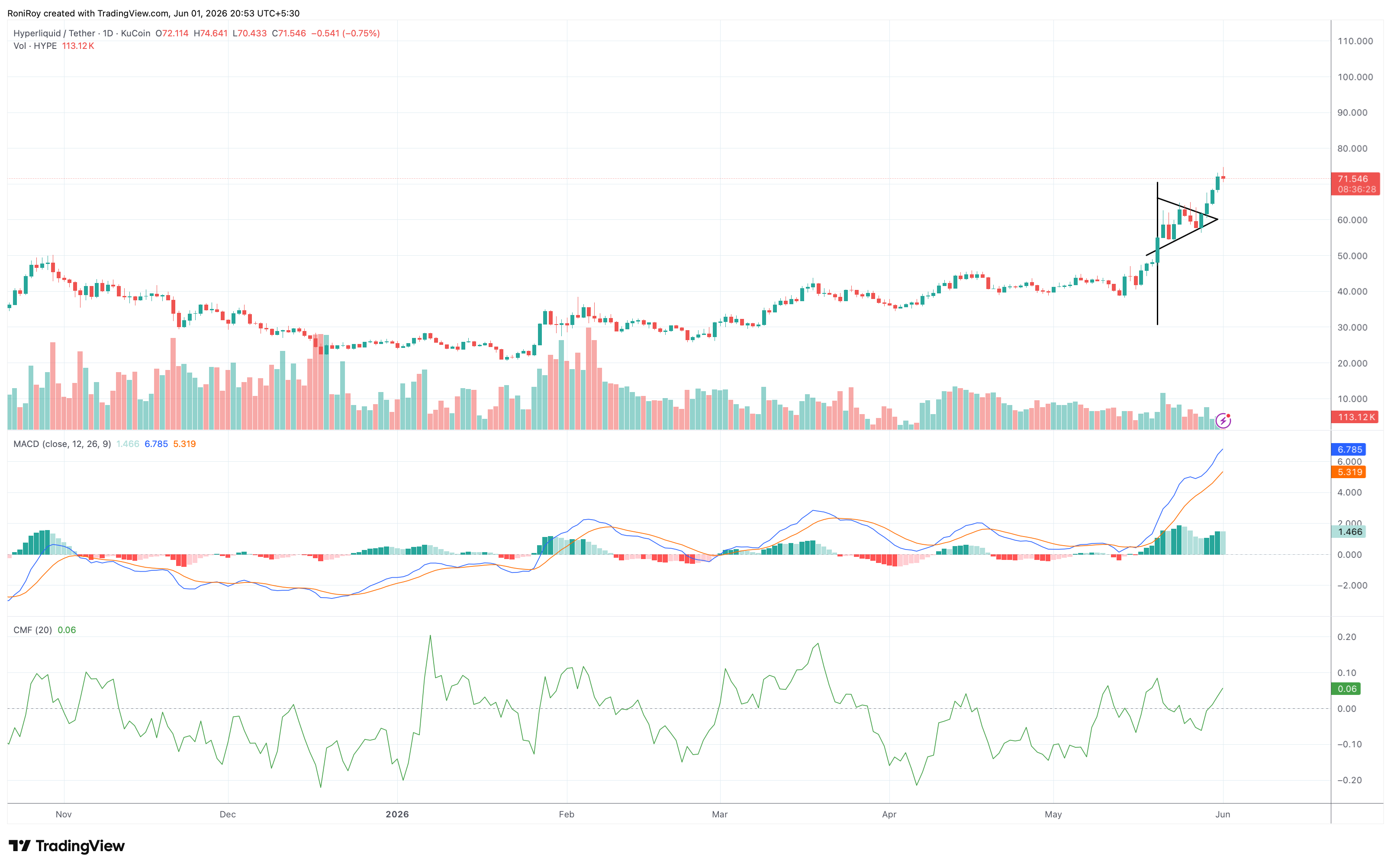 HYPE/USDT - 1-day price chart.