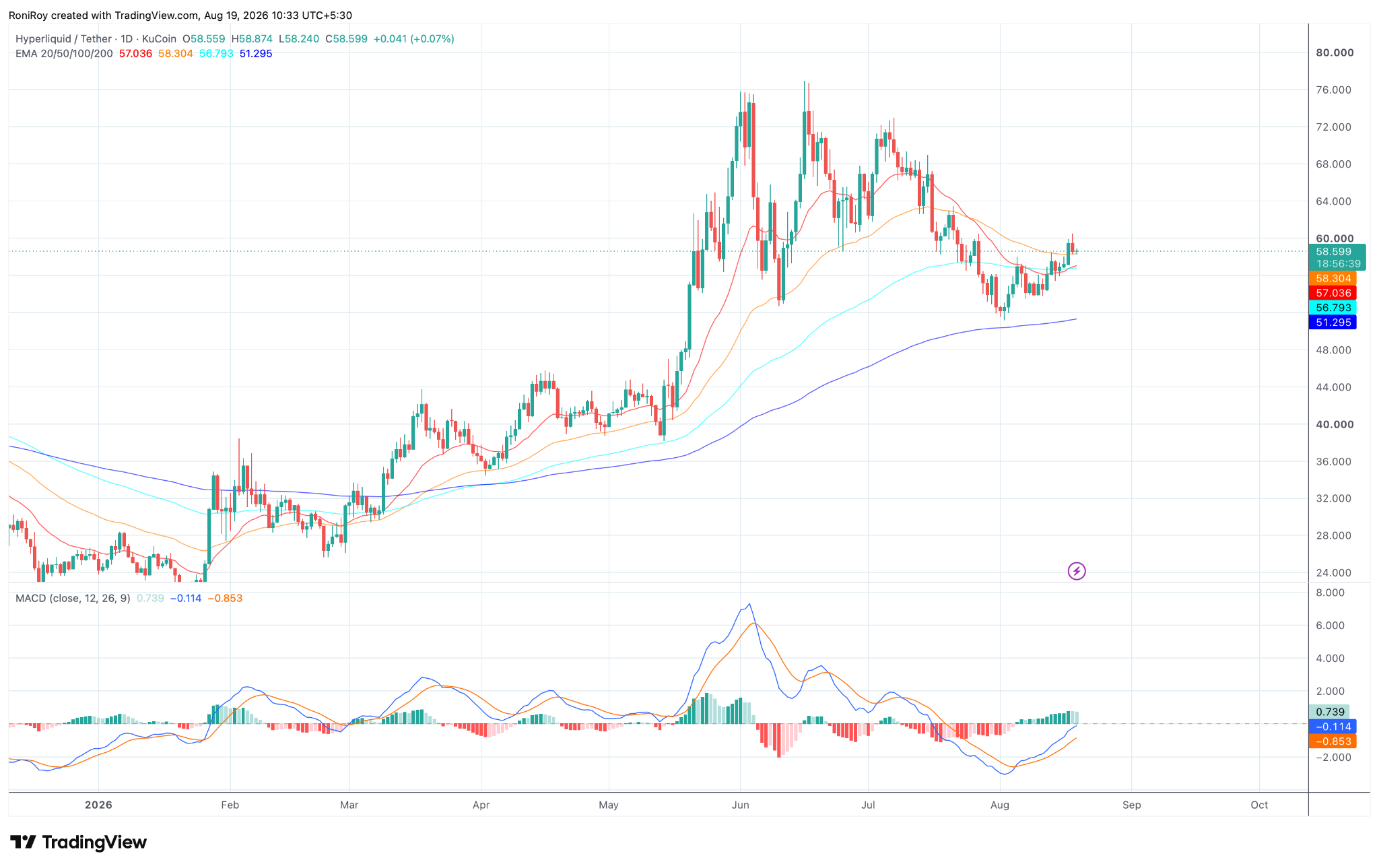 HYPE/USDT 1‑Tages‑Preischart. Quelle: TradingView.