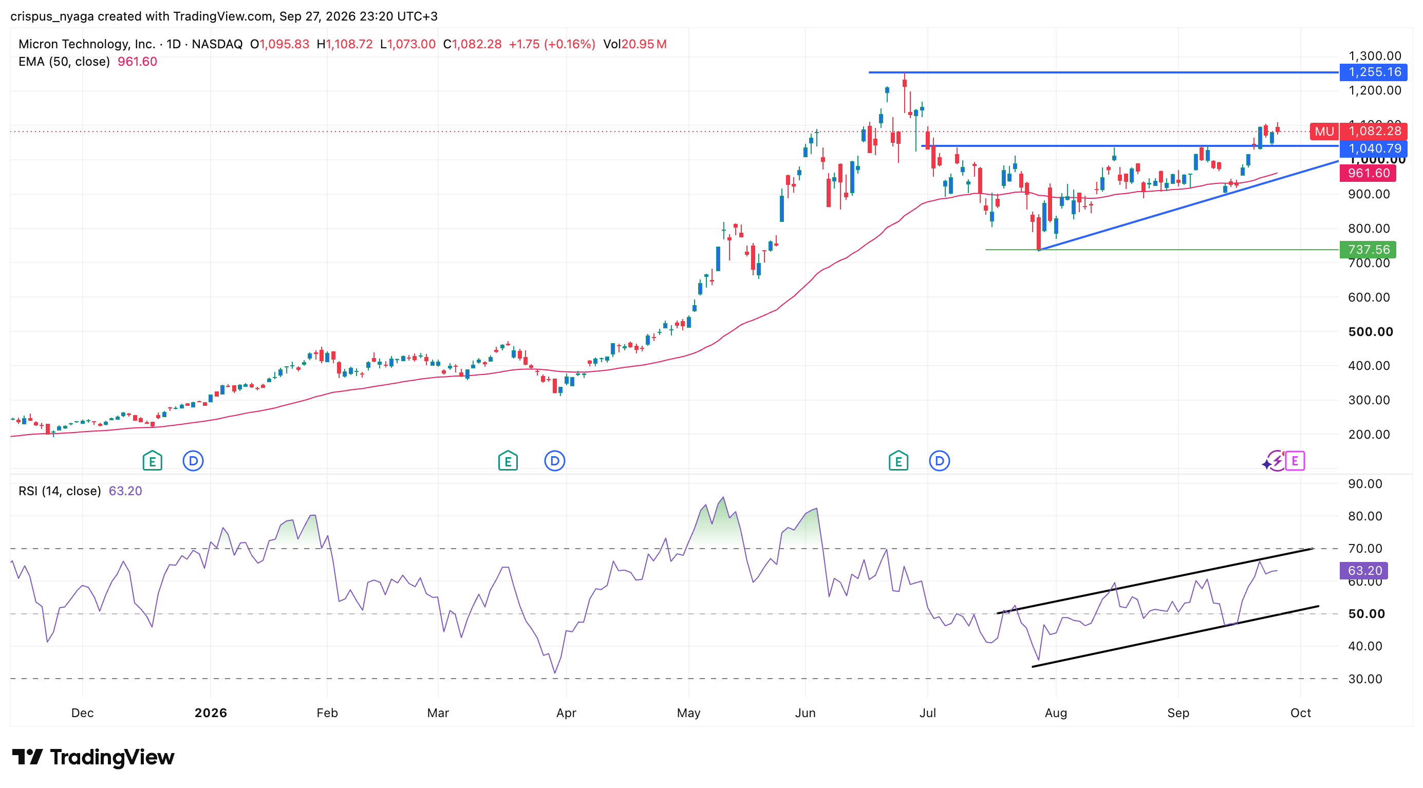 micron stock
