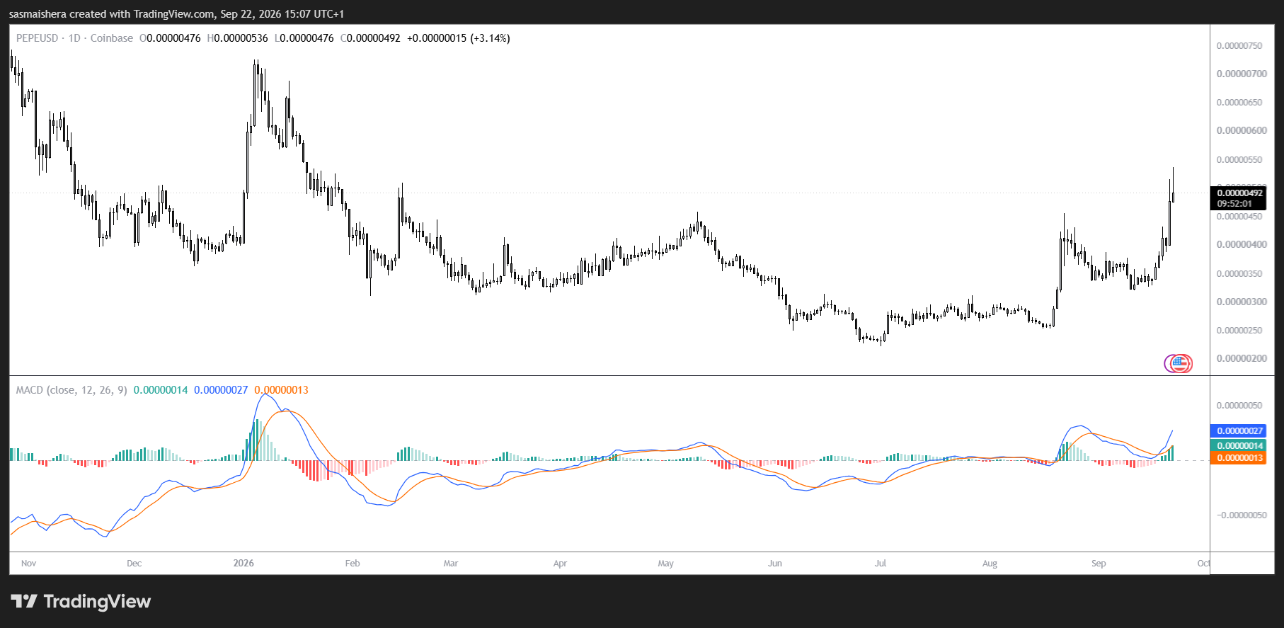 PEPE/USD Daily Chart