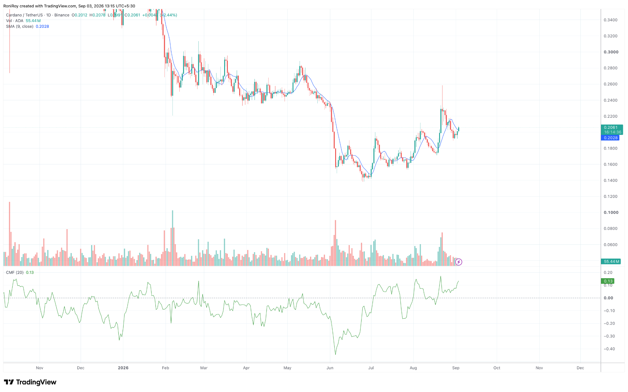 ADA/USDT 1-Tages-Chart. Quelle: TradingView.