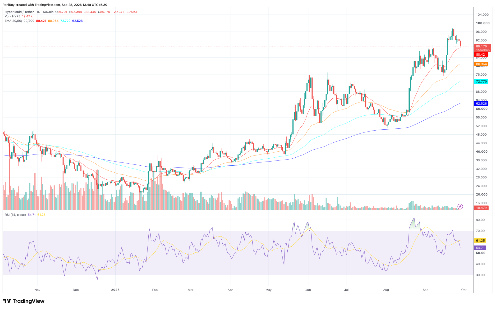 HYPE/USDT 1-Tages-Chart. Quelle: TradingView.